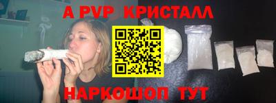 jwh Кингисепп