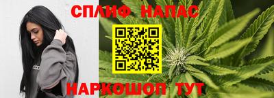 jwh Кингисепп