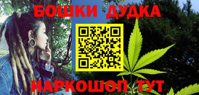 jwh Кингисепп