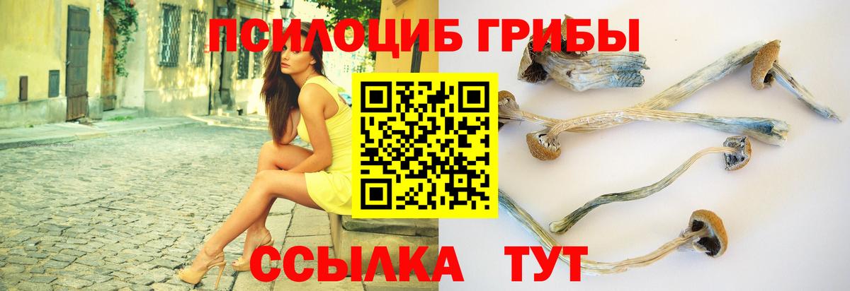 Псилоцибиновые грибы Magic Shrooms Гурьевск